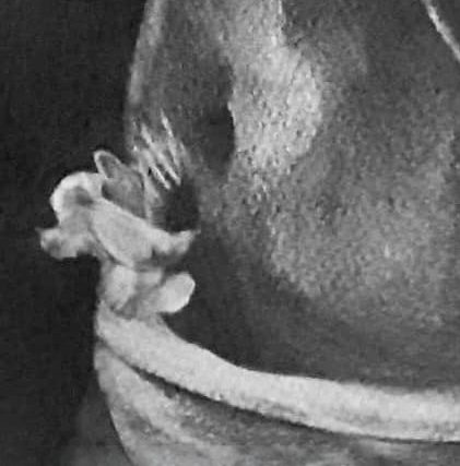 Dettaglio: il drappo annodato sul fianco