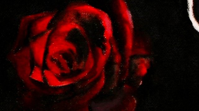 Dettaglio: una rosa rossa accanto alla linea bianca del profilo