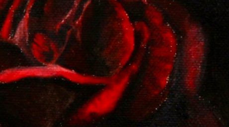 Dettaglio: i petali di una rosa, con le pennellate in vista