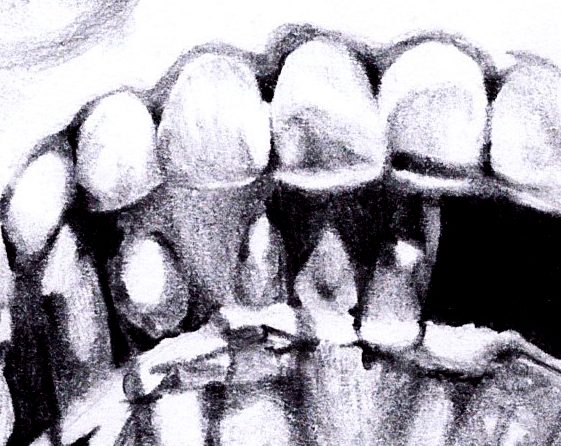 Dettaglio: la dentatura del teschio, sfumata a grafite