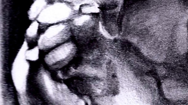 Dettaglio: i denti dell'arcata superiore