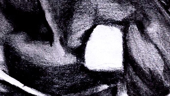 Dettaglio: la base del cranio, con le ombre a grafite